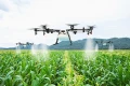 Agritech Drone Spot Spray Image
